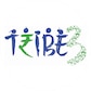 Tribe3 EMI payment